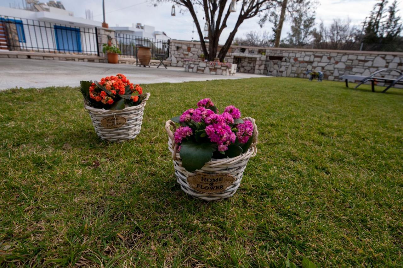 Searock Stegna Villa Archangelos  Luaran gambar
